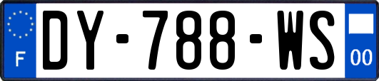 DY-788-WS