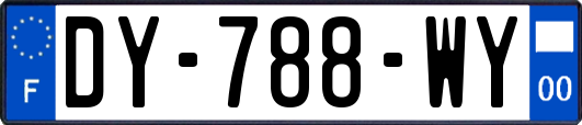 DY-788-WY