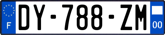 DY-788-ZM