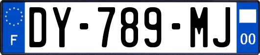 DY-789-MJ