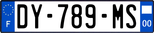 DY-789-MS