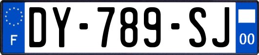 DY-789-SJ