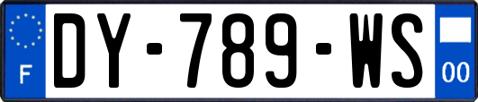 DY-789-WS