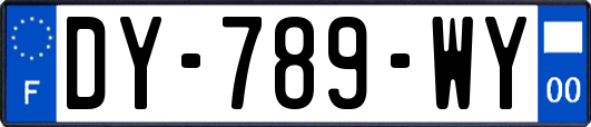 DY-789-WY