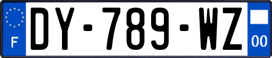 DY-789-WZ