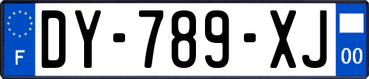 DY-789-XJ