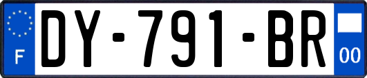DY-791-BR