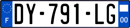 DY-791-LG