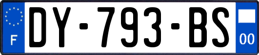 DY-793-BS