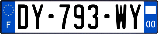 DY-793-WY