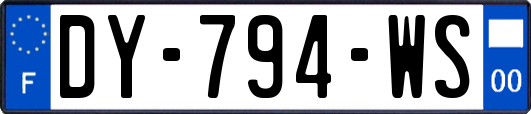 DY-794-WS