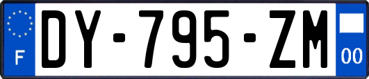 DY-795-ZM