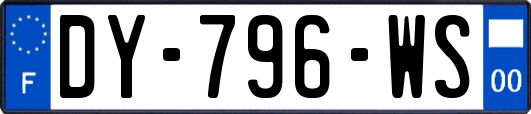 DY-796-WS