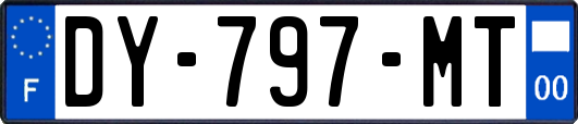 DY-797-MT