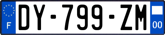 DY-799-ZM