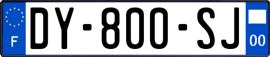 DY-800-SJ