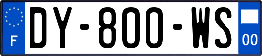 DY-800-WS