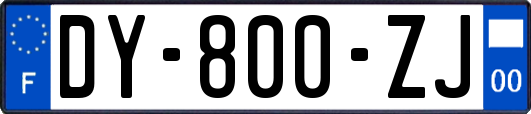 DY-800-ZJ