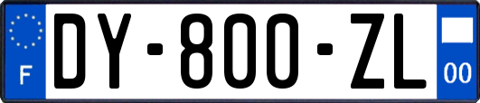 DY-800-ZL