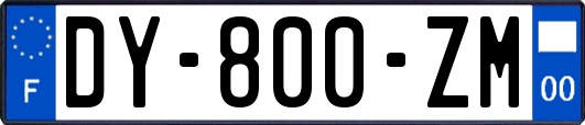 DY-800-ZM