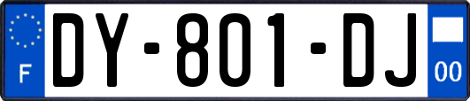 DY-801-DJ