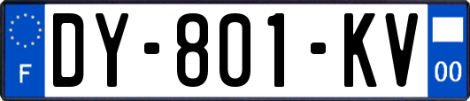 DY-801-KV