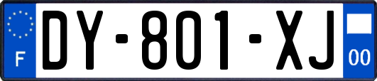 DY-801-XJ