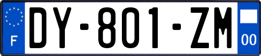 DY-801-ZM