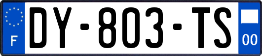 DY-803-TS