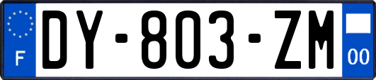 DY-803-ZM