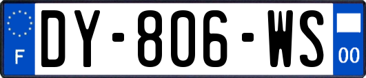 DY-806-WS