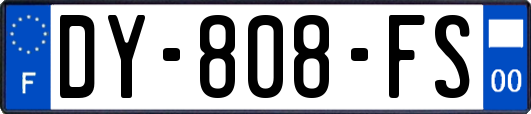DY-808-FS