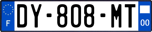 DY-808-MT