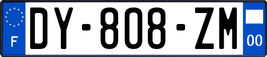 DY-808-ZM