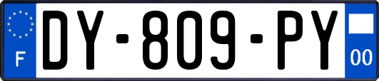 DY-809-PY