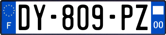 DY-809-PZ