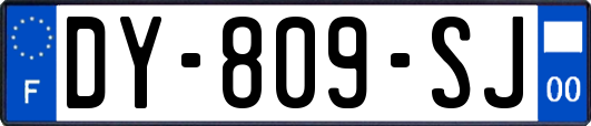 DY-809-SJ