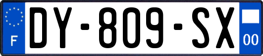 DY-809-SX