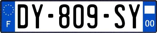 DY-809-SY