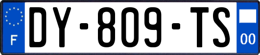 DY-809-TS