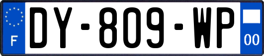 DY-809-WP