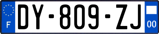 DY-809-ZJ