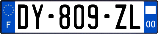 DY-809-ZL