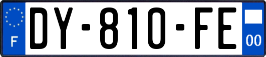 DY-810-FE