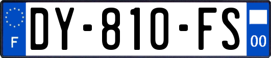 DY-810-FS
