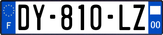 DY-810-LZ