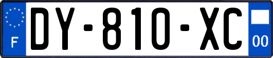 DY-810-XC