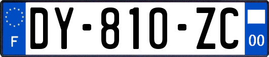 DY-810-ZC