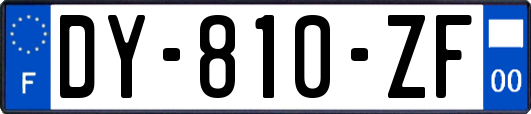 DY-810-ZF