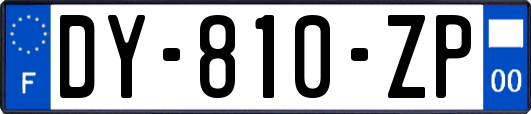 DY-810-ZP